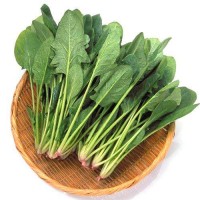 菠菜